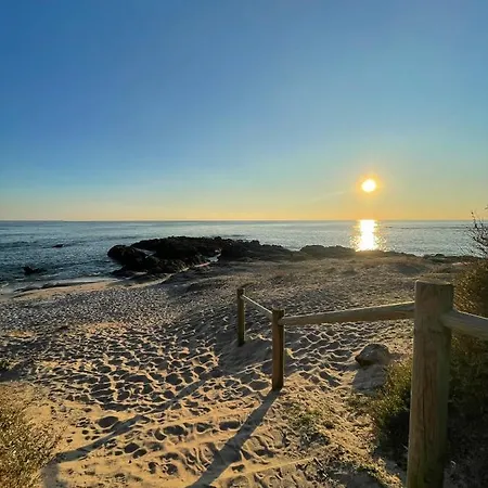 Bord De ・le Rivage・ Daire *